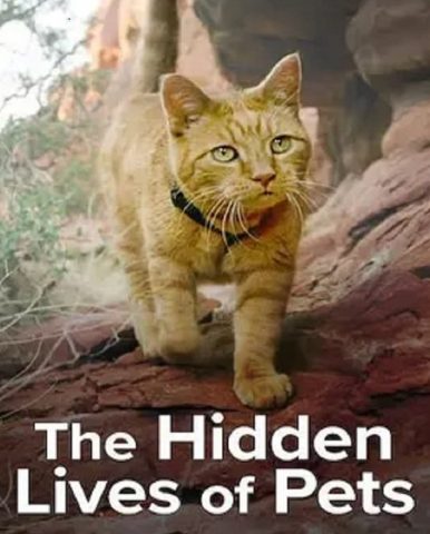 مسلسل The Hidden Lives of Pets كامل – الموسم الاول