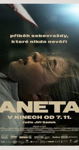 فيلم Aneta 2024 مترجم