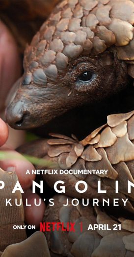 فيلم Pangolin Kulu’s Journey 2025 مترجم