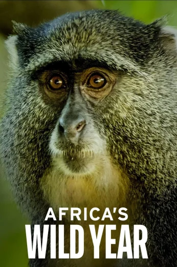 مسلسل Africa’s Wild Year كامل – الموسم الأول