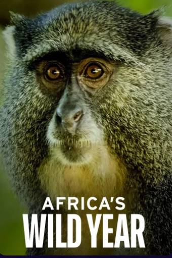 مسلسل Africa’s Wild Year كامل – الموسم الأول
